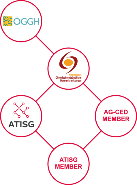 atisg-organigramm